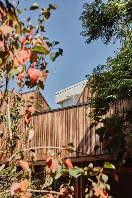 Cereus House